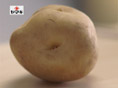 CM���å�1
