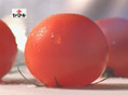 CM���å�1