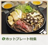 �ۥåȥץ졼���ý�