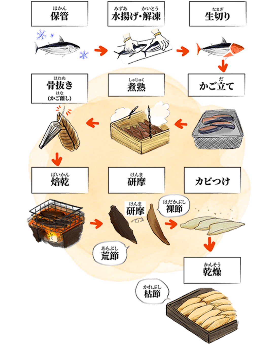 かつお節大百科 製造編|ヤマキ かつお節プラス®|鰹節屋・だし屋、ヤマキ。