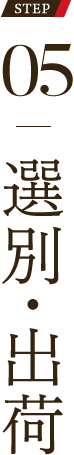 05 選別・出荷