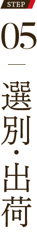 05 選別・出荷