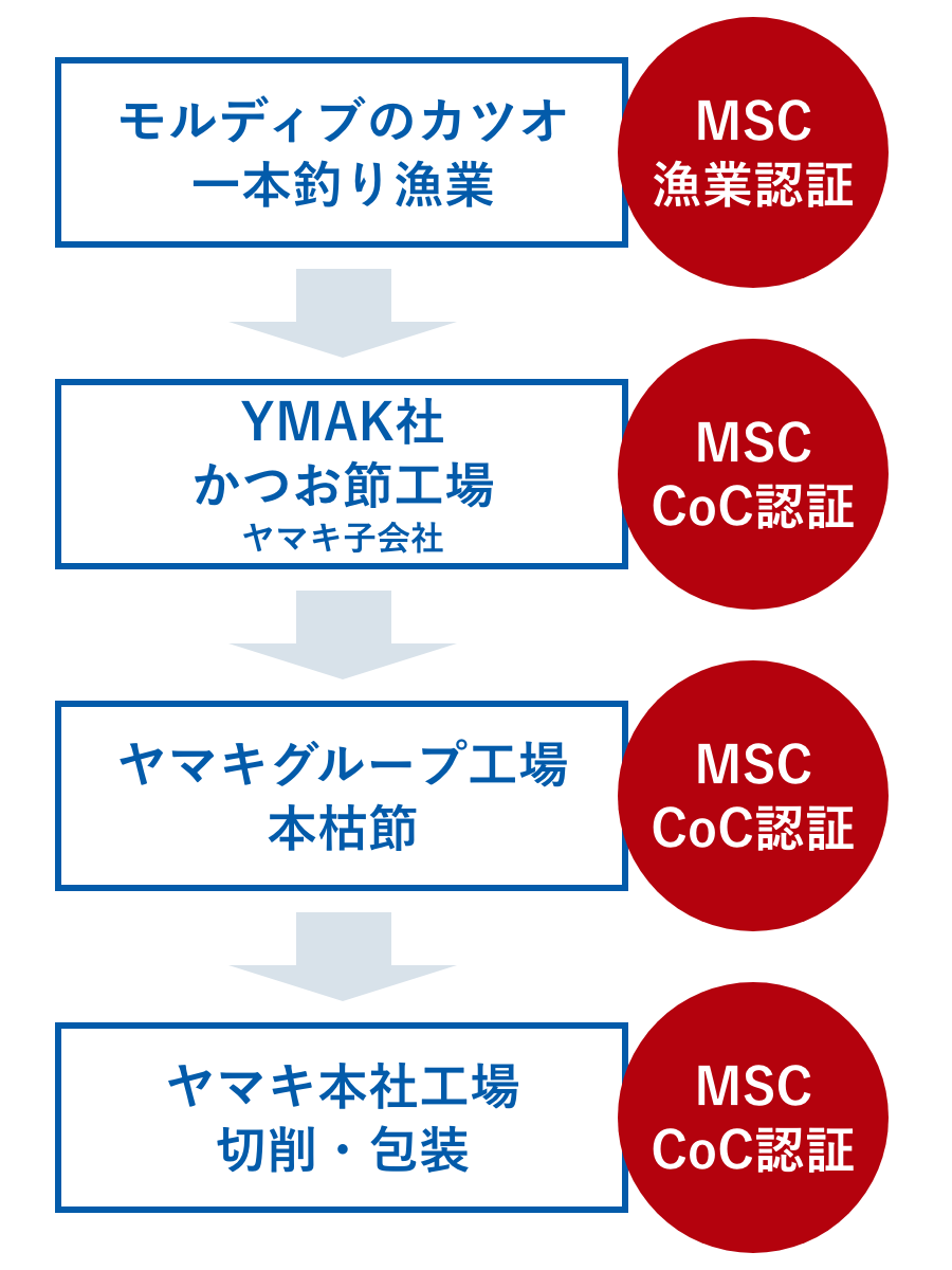 MSC認証イメージ