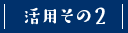 活用その2