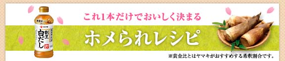 これ1本でおいしく決まる ホメられレシピ　※黄金比とはヤマキがおすすめする希釈割合です。