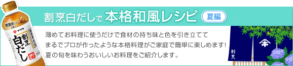 20-20 本格和風レシピ レシピ【夏編】