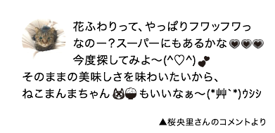 花ふわりって、やっぱりフワッフワっなのー？スーパーにもあるかな・・・今度探してみよ～ そのままの美味しさを味わいたいから、ねこまんまちゃんもいいなぁ～  ▲桜央里さんのコメントより