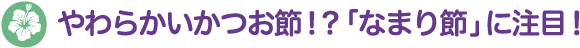 やわらかいかつお節！？「なまり節」に注目！