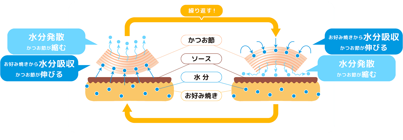 かつお節 解説図