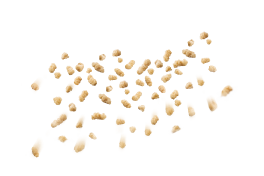 bara